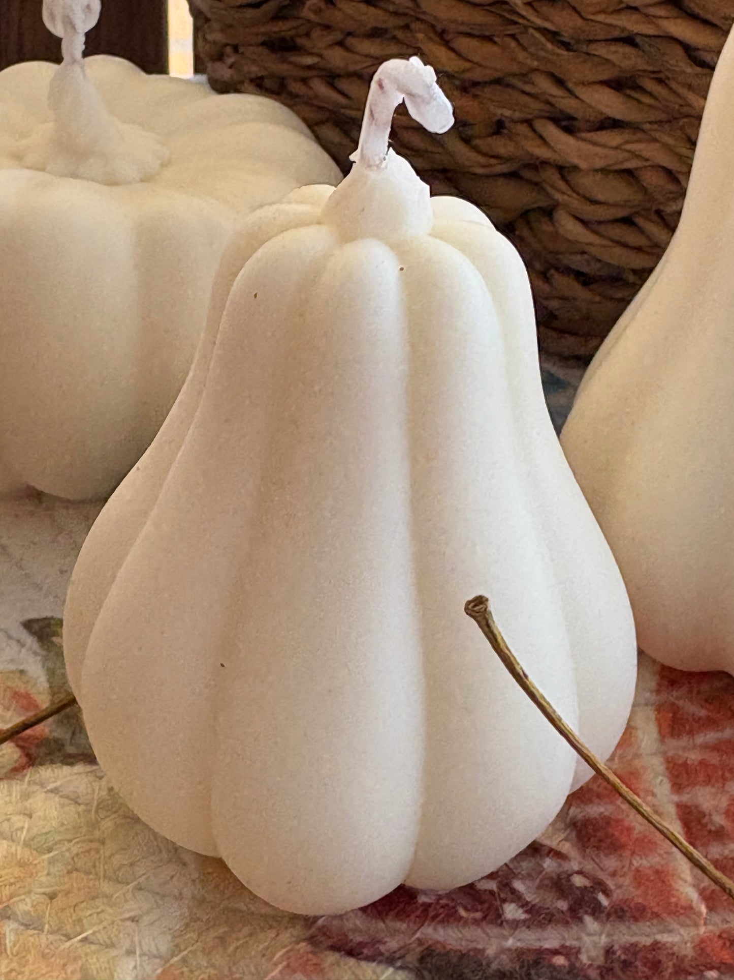 Huerto de Calabazas