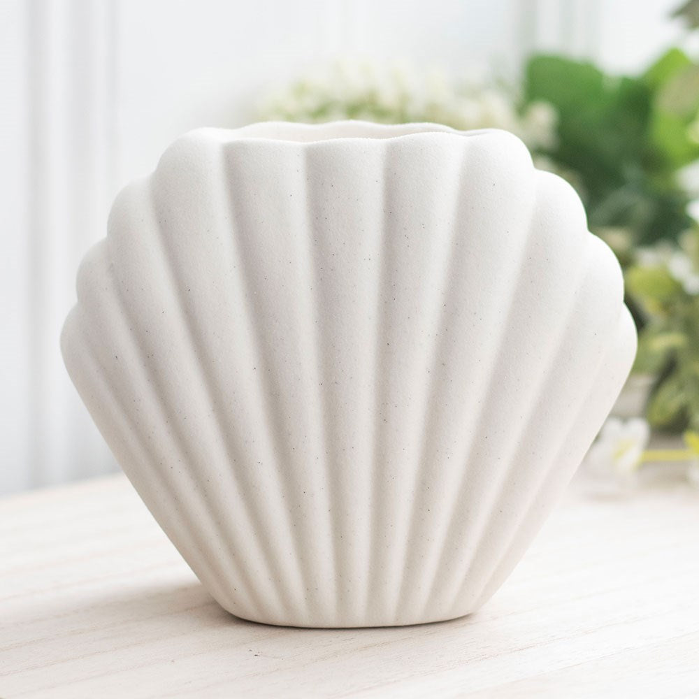 QUEMADOR CONCHA MEDITERRANEA 🐚