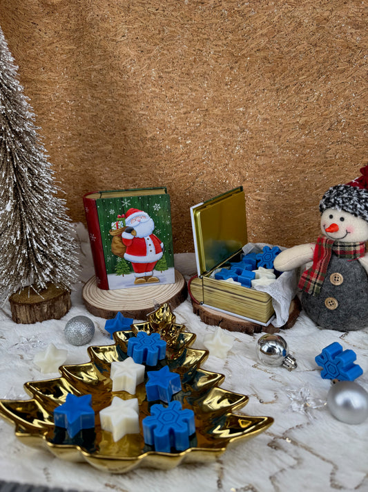 Wax Melts NEVADA SILENCIOSA