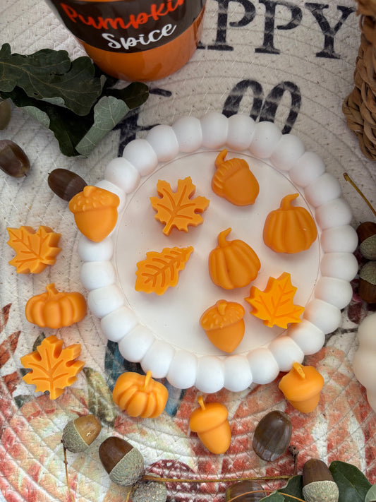 Wax Melts Variados Otoñales