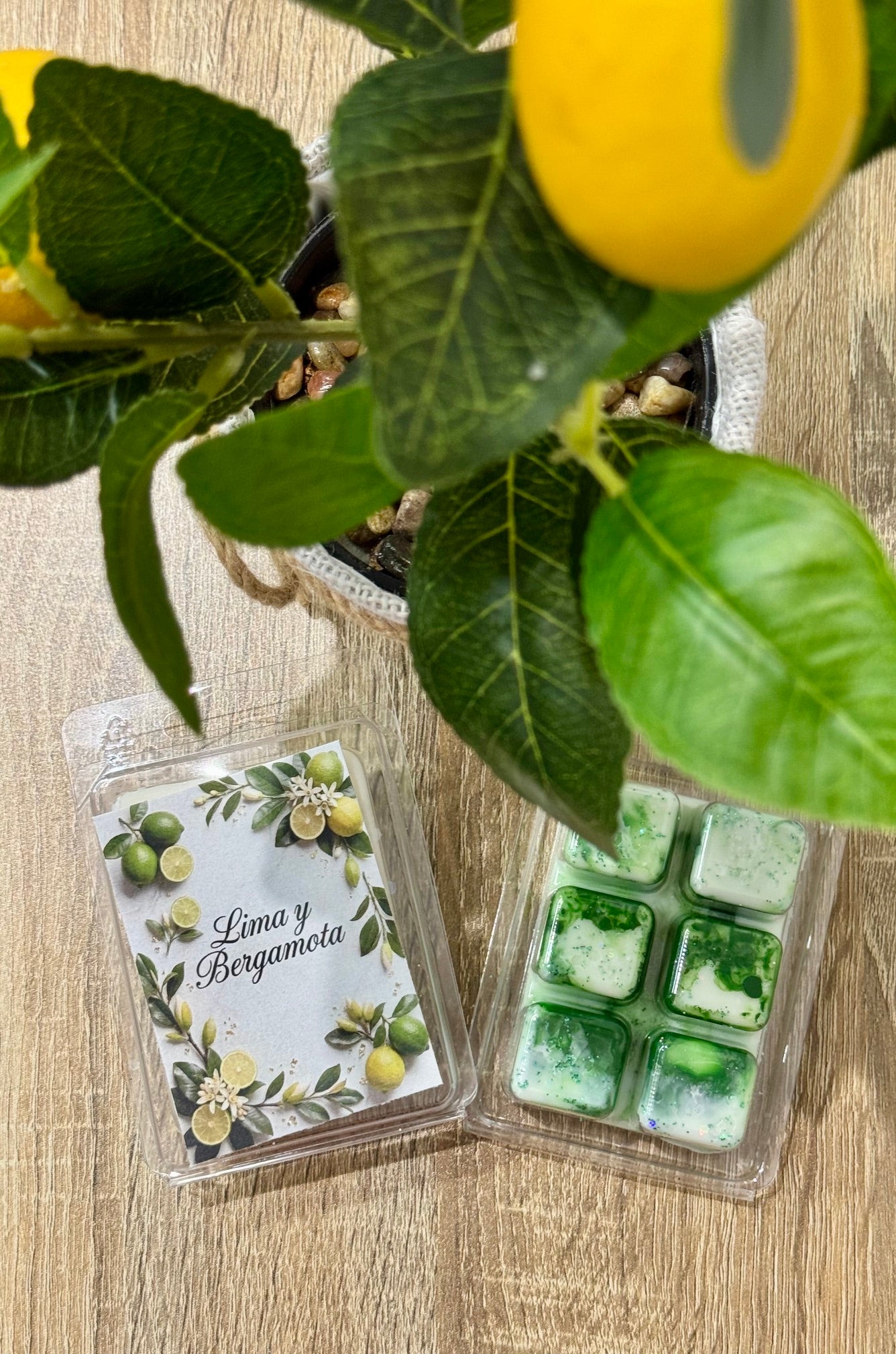 Wax Melts en tableta LIMA & BERGAMOTA